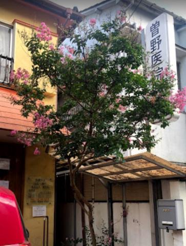 病院　曽野医院（病院）まで515m