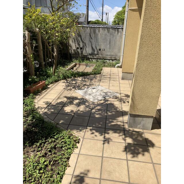 バルコニー　庭