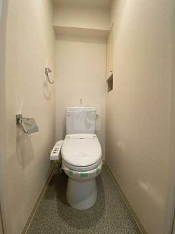 トイレ　パレステュディオDOLCE本駒込