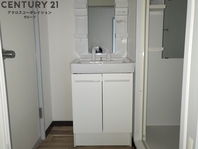 洗面設備　アメニティ収納・シンク下の収納ありの独立洗面台です