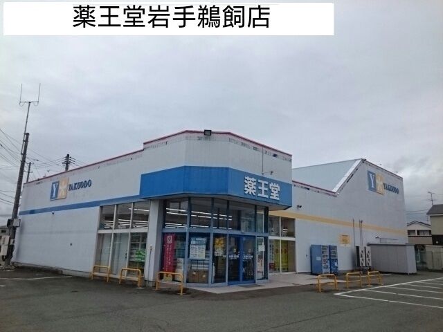 ドラックストア　薬王堂（ドラッグストア）まで850m