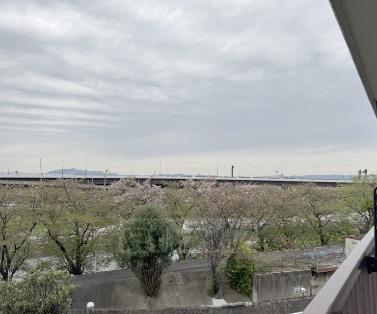 玄関　広々した玄関です。