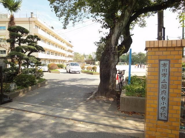 小学校　国府台小学校（小学校）まで310m