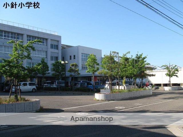 小学校　小針（小学校）まで566m
