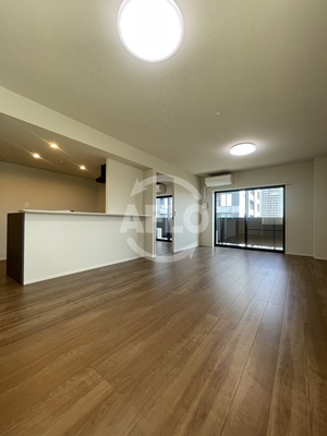 その他　グランセジュール大国町(敷津小学校区)　リビング