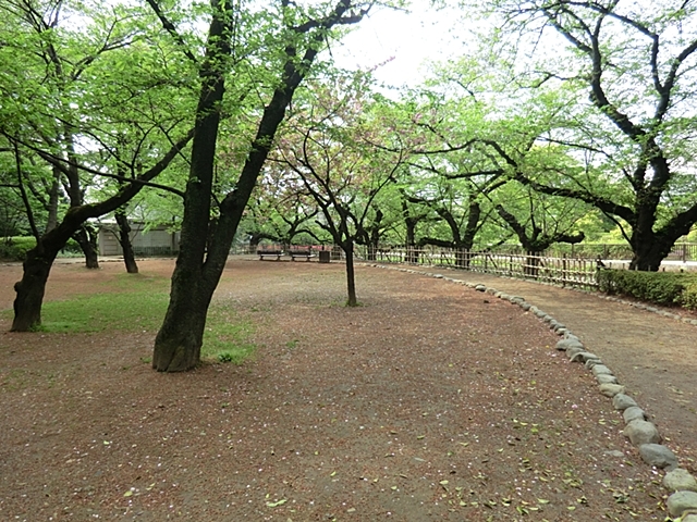公園　哲学堂公園（公園）まで850m