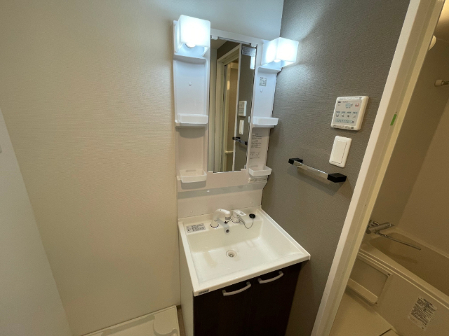 バス・シャワールーム　※別号室のお写真です