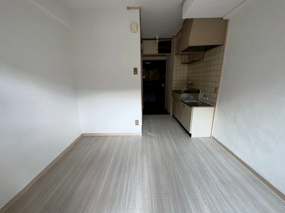 居室・リビング　※別部屋の写真です