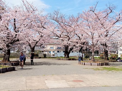 公園　幸ケ谷公園（公園）まで268m