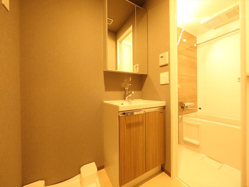 洗面設備　脱衣所　独立洗面台（シャンプードレッサー付）収納スペース有