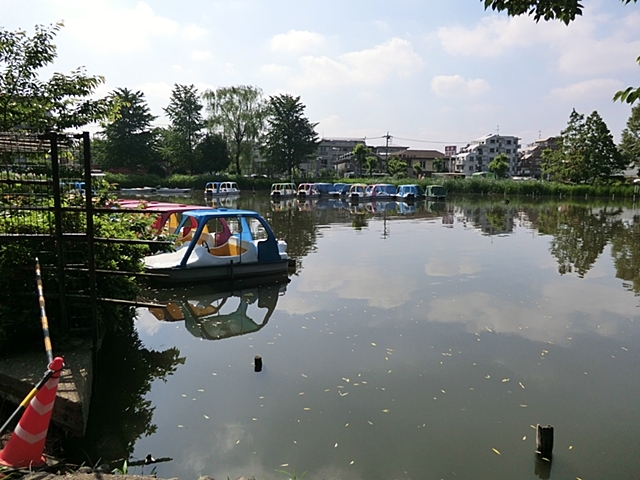 公園　石神井公園（公園）まで1268m