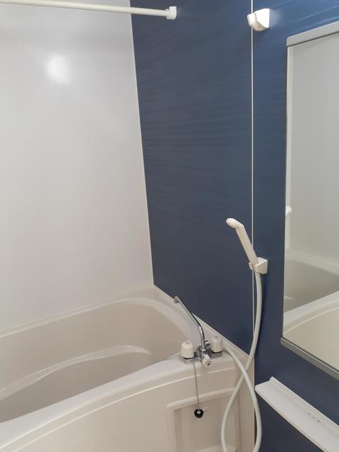 バス・シャワールーム　追加画像2(バス)