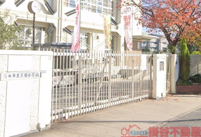 小学校　茨木市立葦原小学校（小学校）まで270m