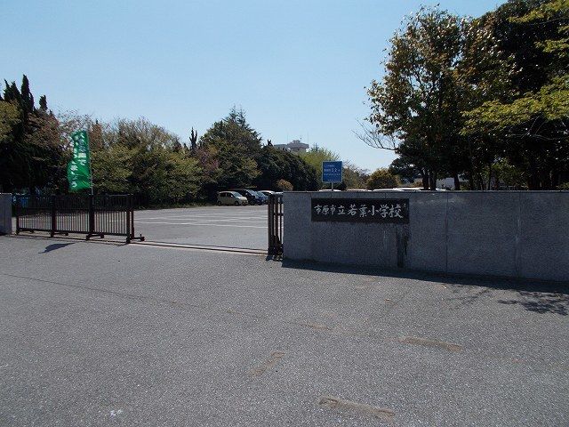 小学校　市原市立若葉小学校（小学校）まで600m
