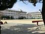 小学校　松戸市立八ケ崎第二小学校（小学校）まで667m