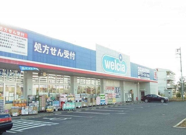 その他　ウェルシア薬局誉田店（その他）まで1100m