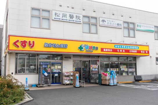 ドラックストア　どらっぐぱぱす世田谷桜丘店（ドラッグストア）まで705m