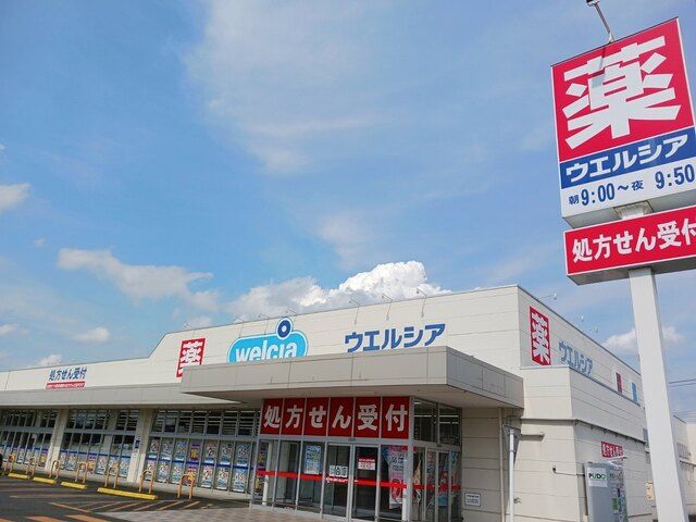 ドラックストア　ウエルシア本庄児玉南店（ドラッグストア）まで250m
