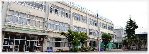 小学校　杉並区立和田小学校（小学校）まで1303m