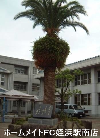 小学校　玄洋小学校（小学校）まで719m