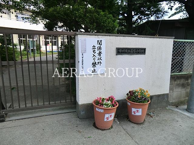 小学校　市川市立若宮小学校（小学校）まで655m