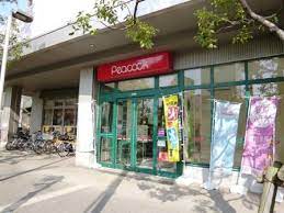 スーパー　ピーコックストア三軒茶屋の杜店（スーパー）まで547m