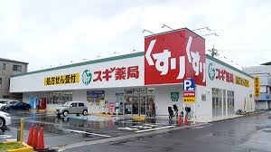ドラックストア　スギドラッグ太閤通店（ドラッグストア）まで258m