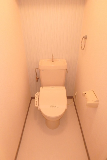 南海高野線 河内長野駅 徒歩30分 11階建 築37年のトイレ写真