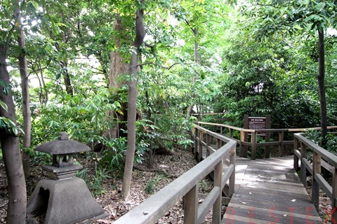 公園　千石緑地（公園）まで332m
