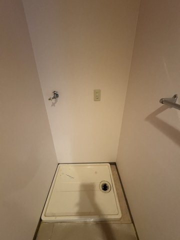 デイジーのその他写真