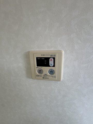 デイジーのその他写真