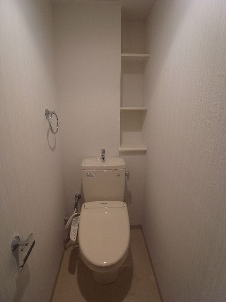 東葉高速鉄道 八千代緑が丘駅 徒歩10分 10階建 築21年のトイレ写真