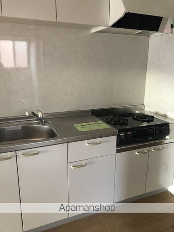伊豆箱根大雄山線 緑町駅 徒歩21分 2階建 築17年のキッチン写真