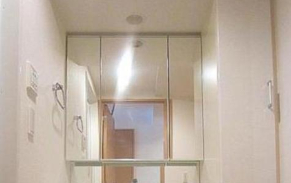 洗面設備　※別部屋の参考写真です。