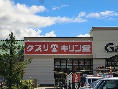 ドラックストア　キリン堂篠山店（ドラッグストア）まで1573m