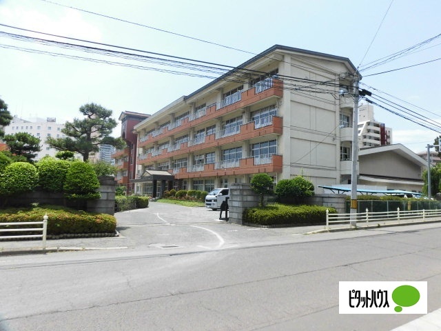 小学校　盛岡市立桜城小学校（小学校）まで310m