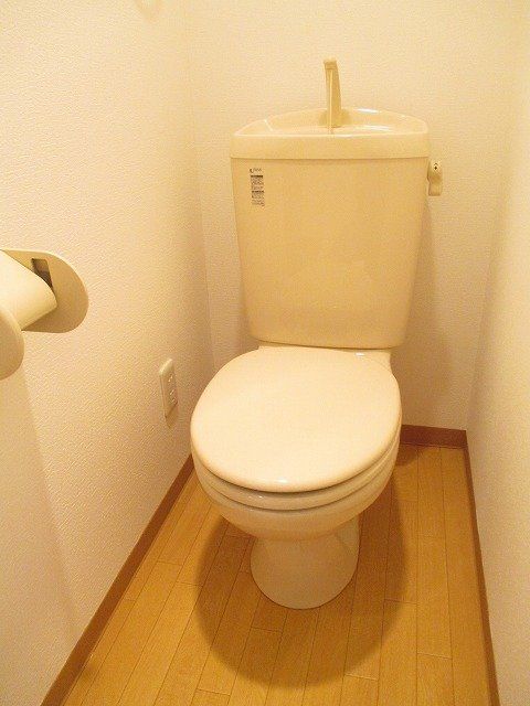 雨田ロイヤルパレスビルのトイレ写真