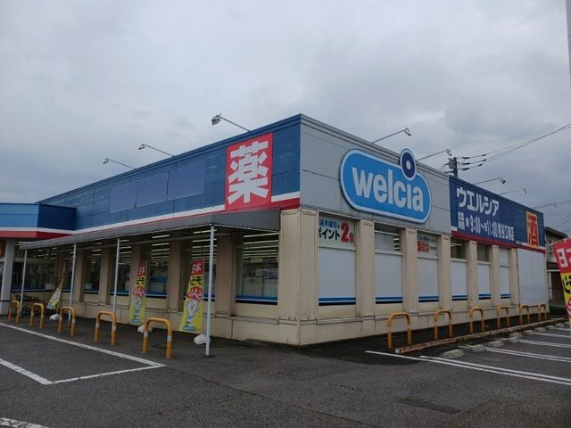 ドラックストア　ウェルシア　熊谷江南店（ドラッグストア）まで4100m