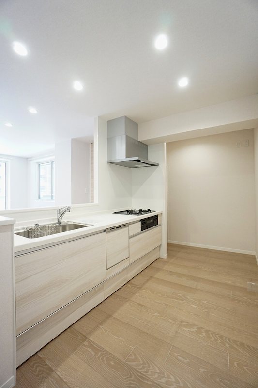 キッチン　家事が時短になる食器洗浄乾燥機付きシステムキッチン。