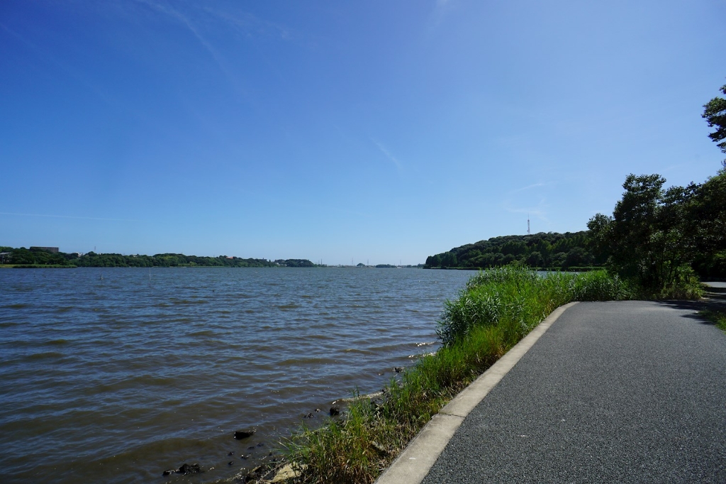 公園　佐鳴湖公園（公園）まで801m