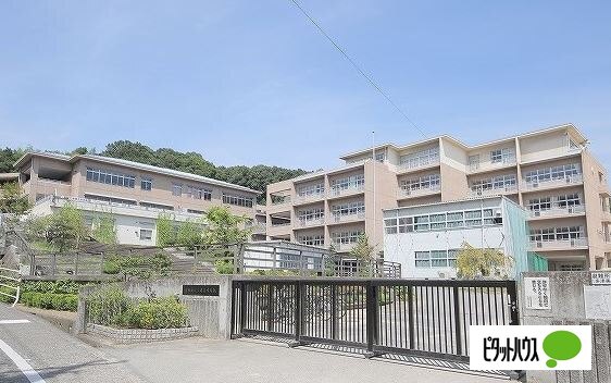 中学校　倉敷市立多津美中学校（中学校）まで1963m