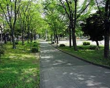 公園　葉場公園（公園）まで1253m