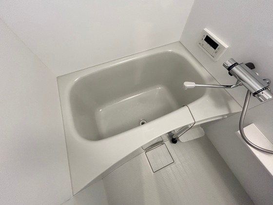 バス・シャワールーム　※別部屋の写真です