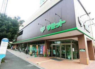 スーパー　サミットストア 野沢龍雲寺店（スーパー）まで584m