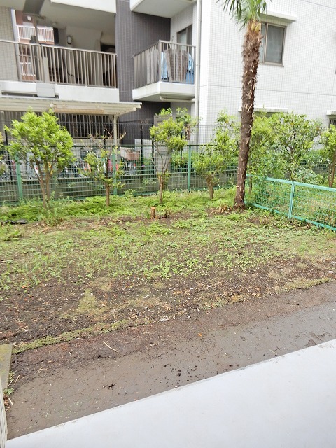 庭　専用庭