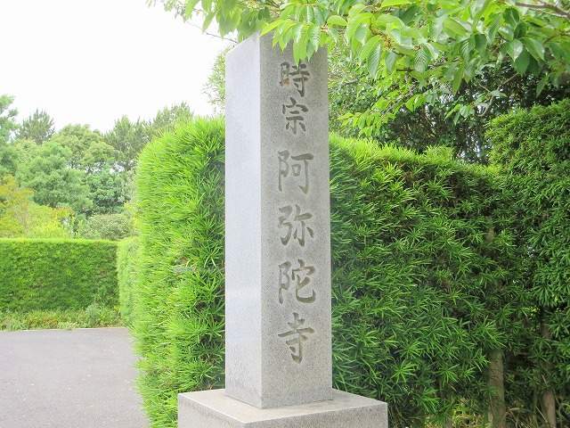 その他　阿弥陀寺（その他）まで335m