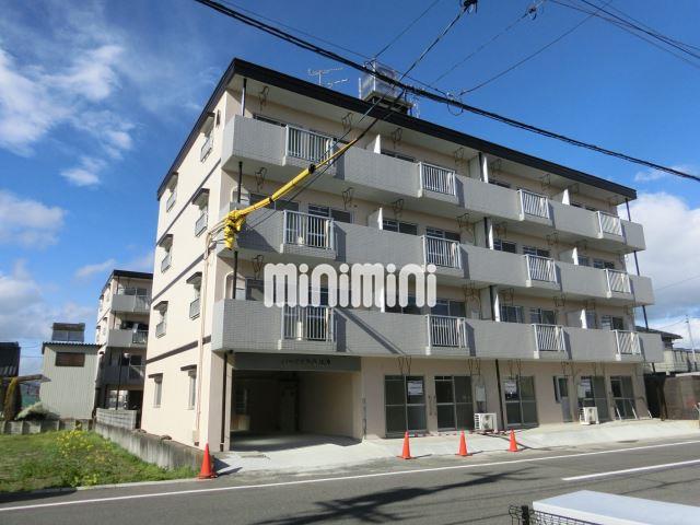 建物外観　南向きのＲＣ造マンション