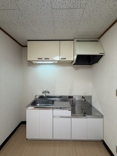 グリーンヒルズ大川Bのキッチン写真