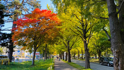 大学・短大　北海道大学医学部保健学科（大学・短大）まで1208m
