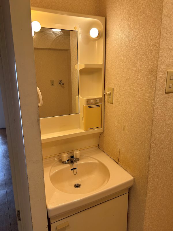洗面設備　別の部屋の写真